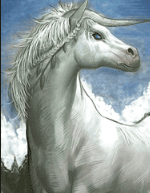 Unicorn pet image