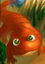 Salamander pet image
